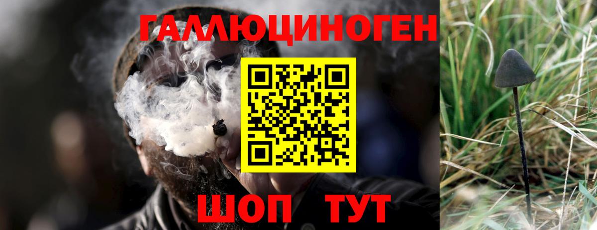 Галлюциногенные грибы MAGIC MUSHROOMS Тимашёвск