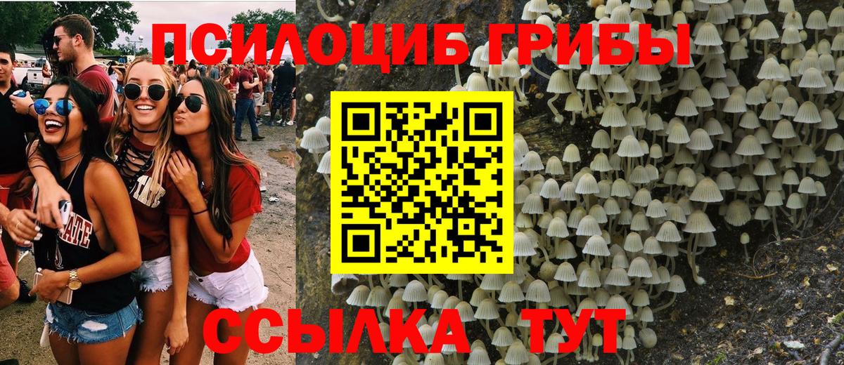 Галлюциногенные грибы Psilocybine cubensis  Вход с VPN  Тимашёвск 
